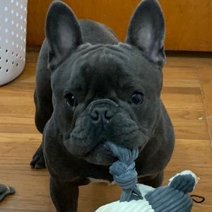 Meet your Posher, Tyler